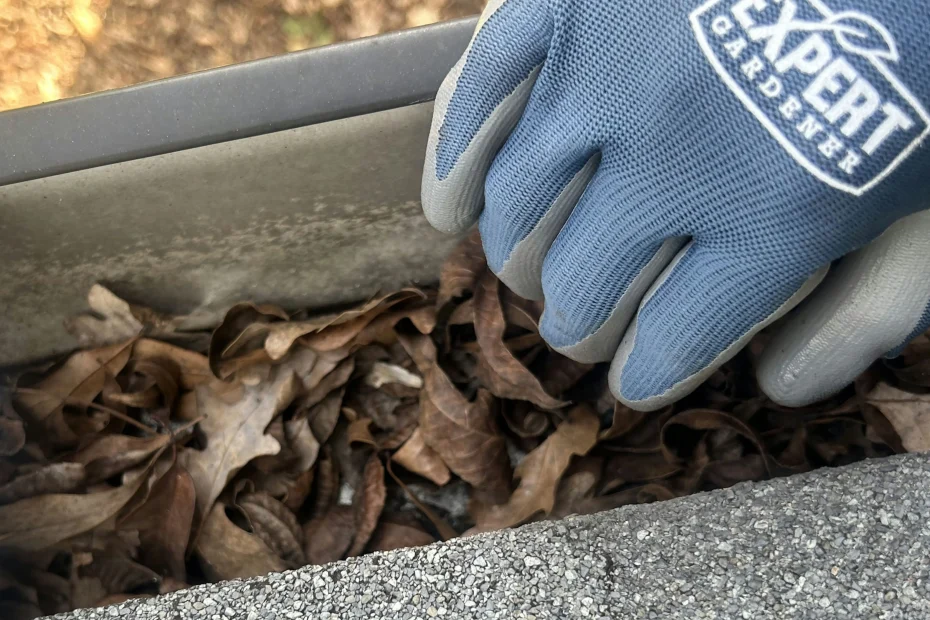 Gutter Cleaning Highland Park