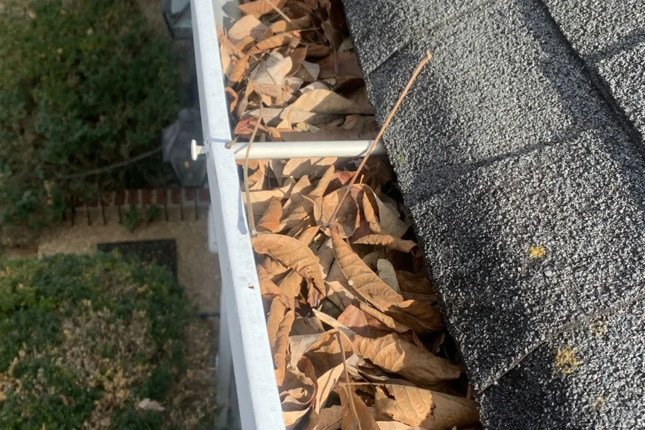 Gutter Cleaning Highland Park