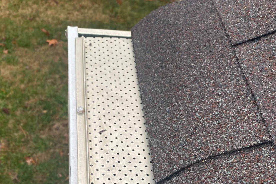 Gutter Cleaning Highland Park