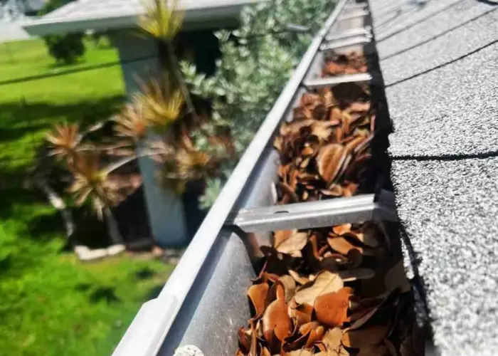 Gutter Cleaning Highland Park home page